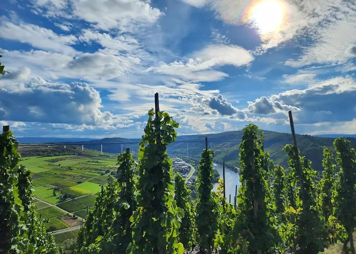 בית הארחה Restaurant Wuerzig In Ürzig