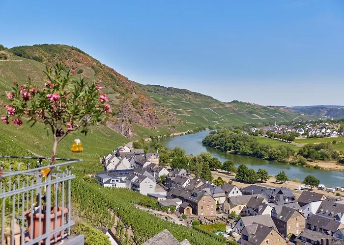 Restaurant Wuerzig In 3*